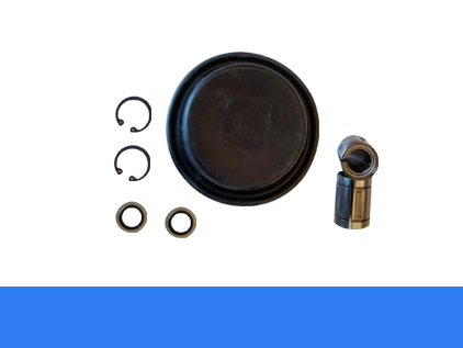 Differential pressure valve repair kit